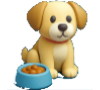 Animales y Mascotas